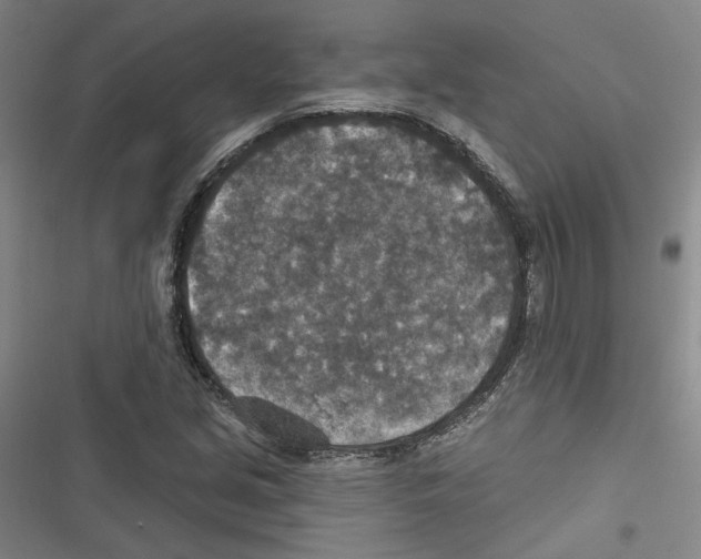 X0000116791213201001151054