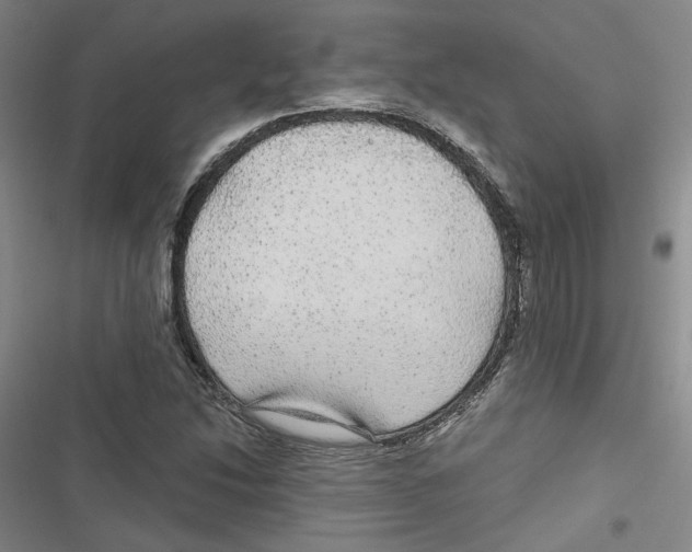 X0000116791214201001151054