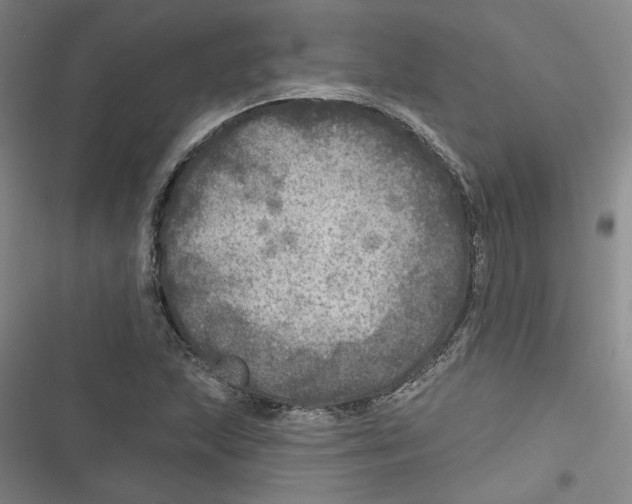 X0000116791215201001151054