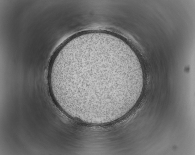 X0000116791216201001151054
