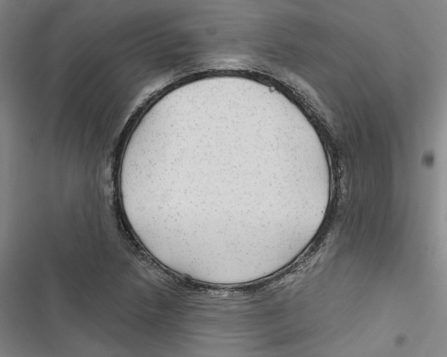 X0000116791218201001151054