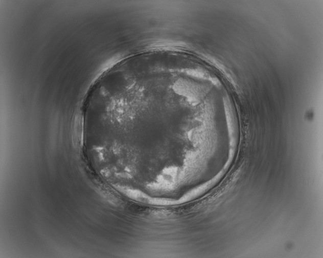 X0000116791219201001151054