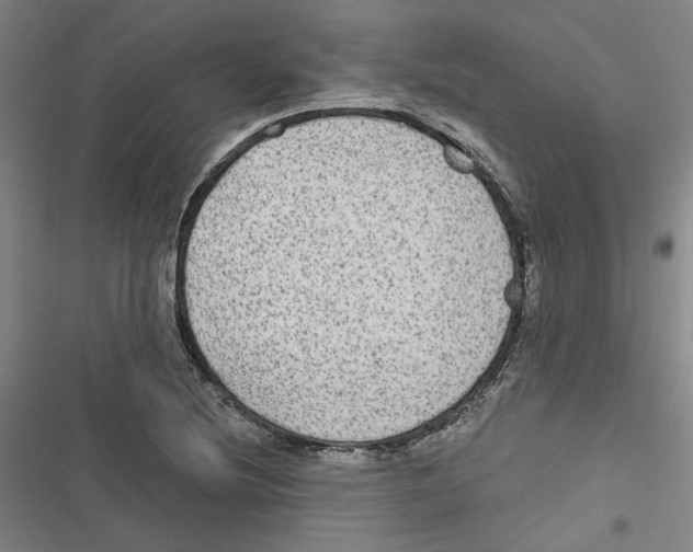 X0000116791220201001151054