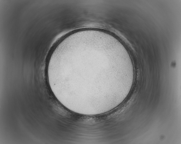 X0000116791222201001151055