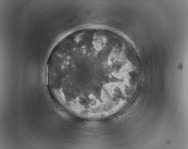 X0000116791223201001151055