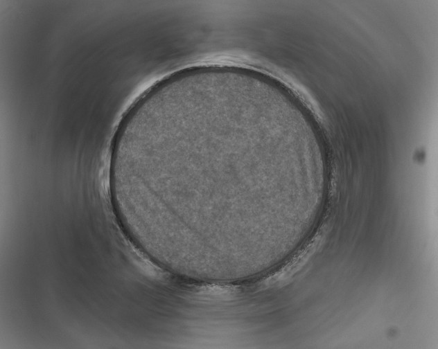 X0000116791224201001151055