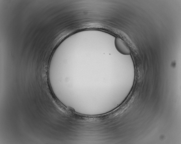 X0000116791225201001151055