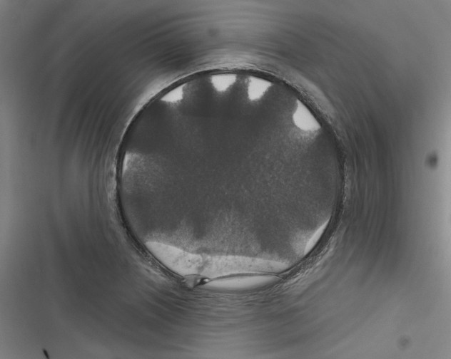 X0000116791226201001151055