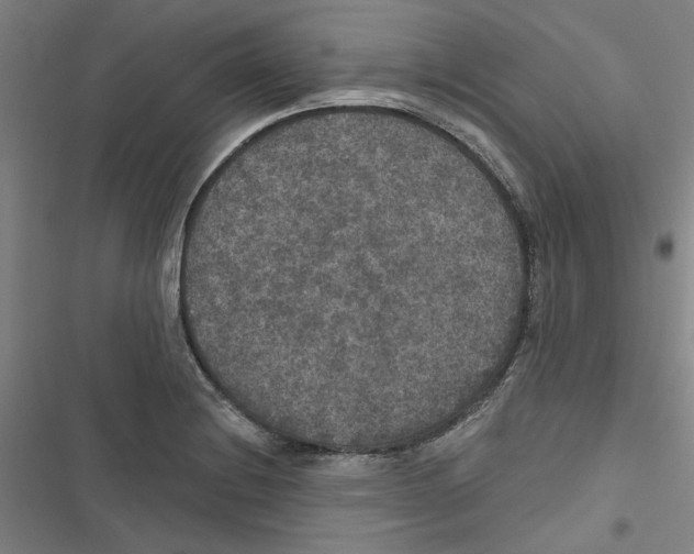 X0000116791228201001151055