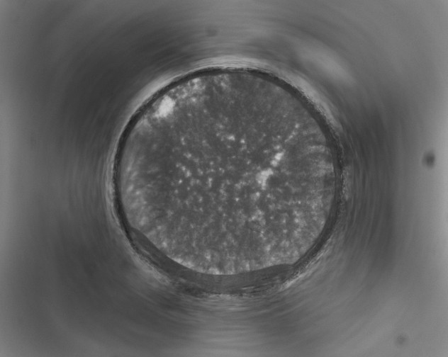 X0000116791229201001151055