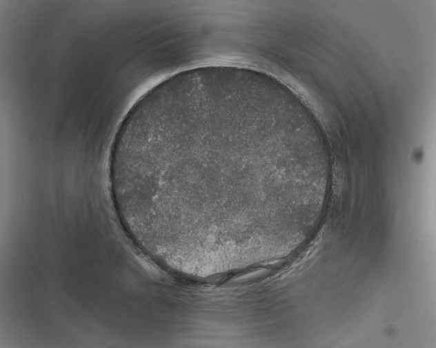 X0000116791230201001151055