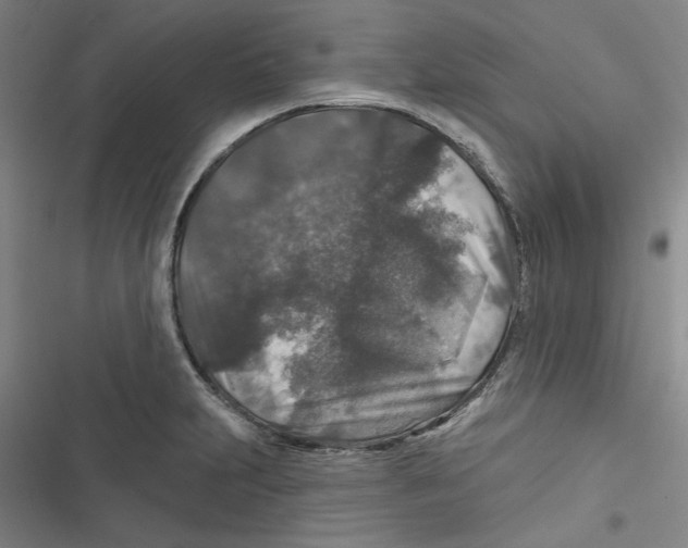 X0000116791231201001151055