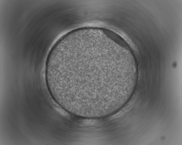 X0000116791232201001151055