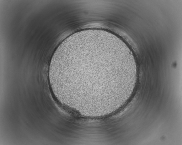 X0000116791233201001151055