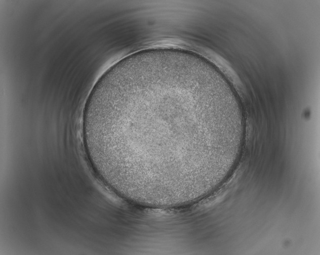 X0000116791234201001151055
