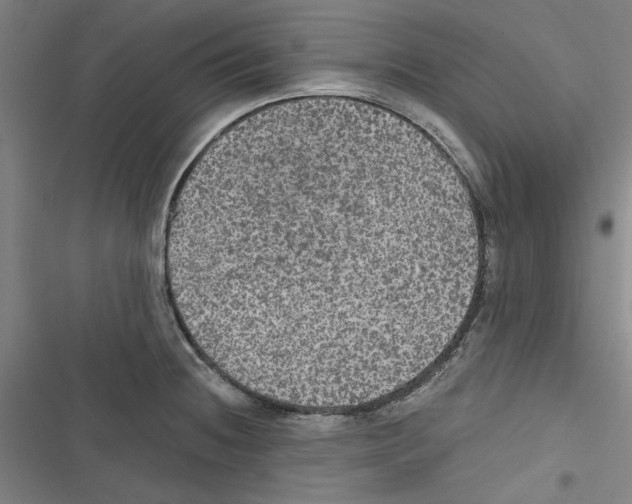 X0000116791236201001151055