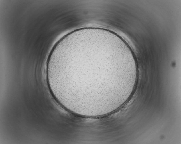 X0000116791238201001151055