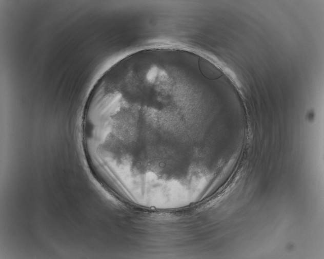 X0000116791239201001151055