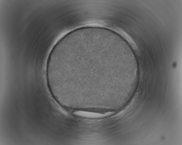 X0000116791240201001151055