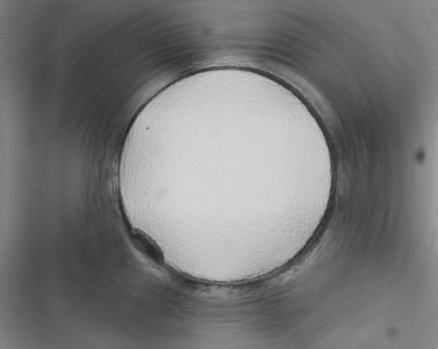 X0000116791241201001151055