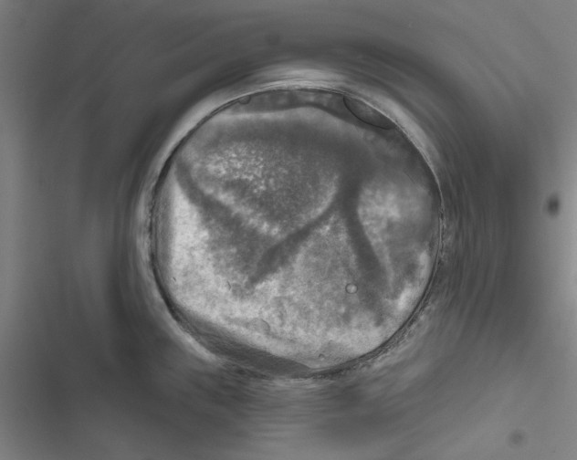 X0000116791243201001151055