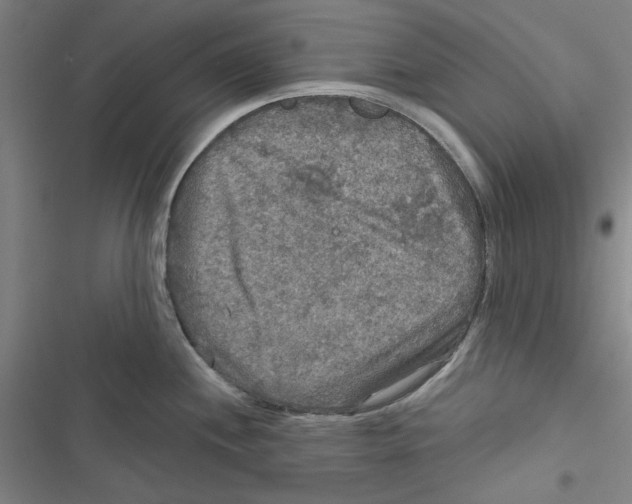 X0000116791244201001151055