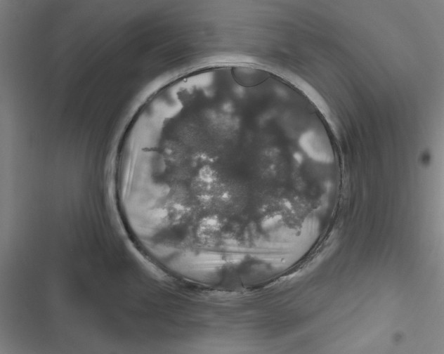 X0000116791245201001151055