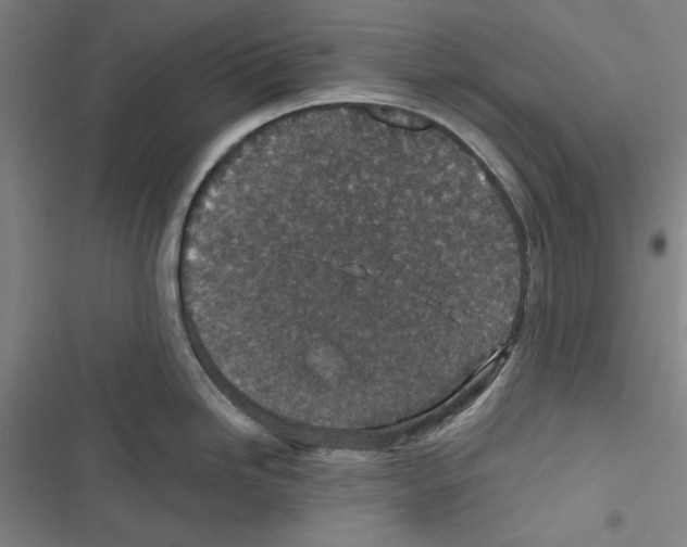 X0000116791246201001151055