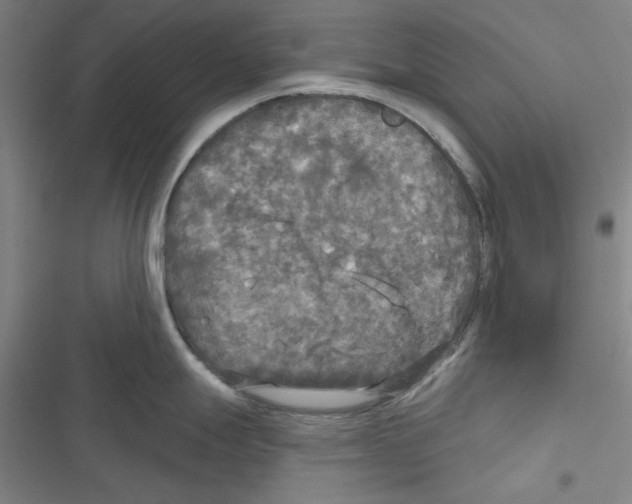 X0000116791247201001151055