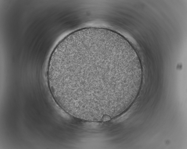 X0000116791248201001151055