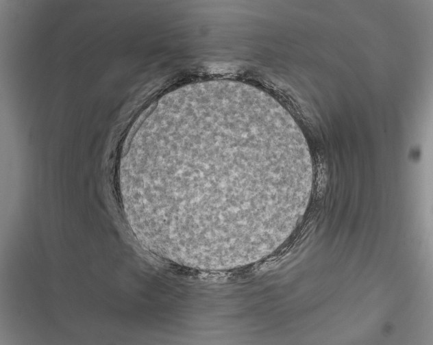 X0000116791249201001151054