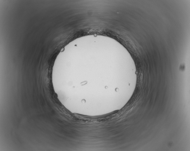 X0000116791250201001151054