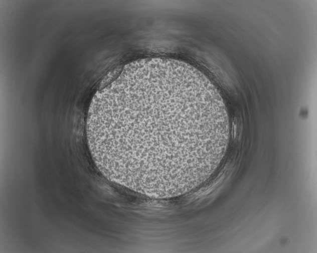 X0000116791251201001151054