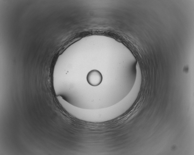 X0000116791252201001151054