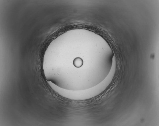 X0000116791253201001151054