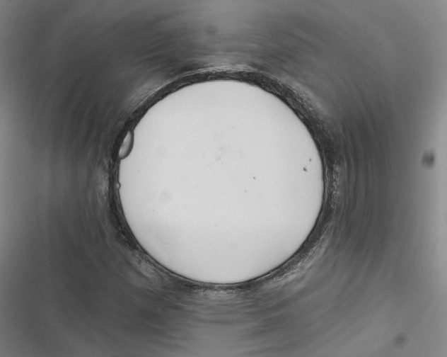 X0000116791257201001151054
