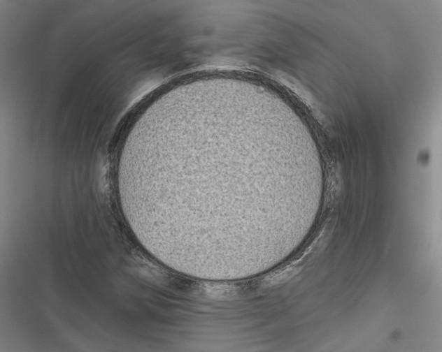 X0000116791258201001151054