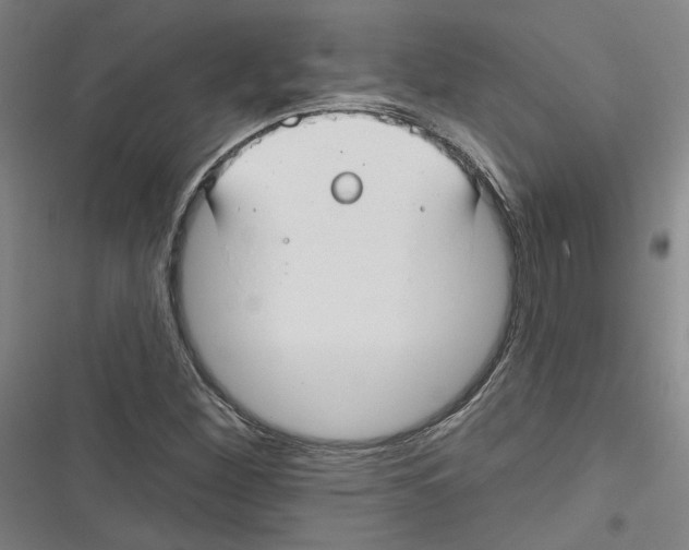 X0000116791260201001151054