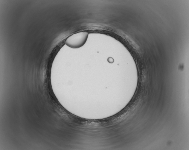 X0000116791261201001151054