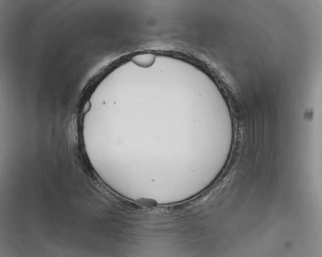X0000116791262201001151054