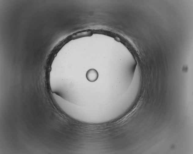 X0000116791263201001151054