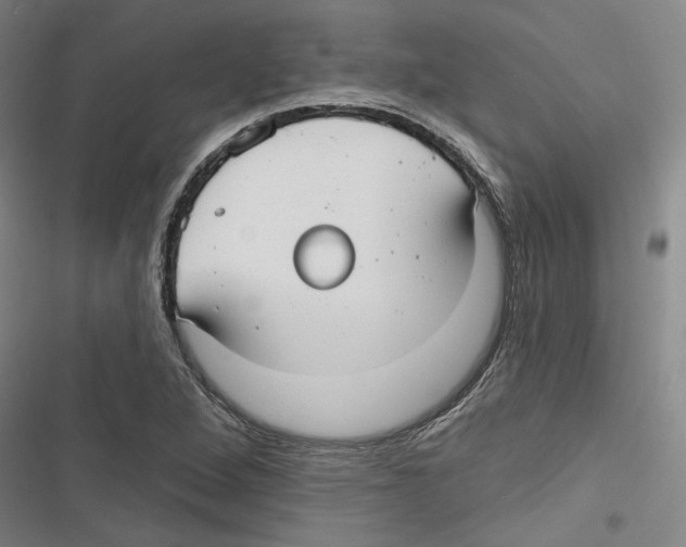 X0000116791264201001151054