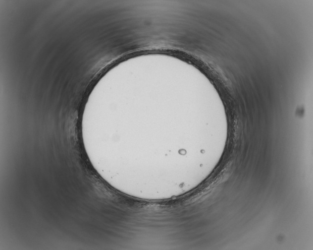 X0000116791265201001151054