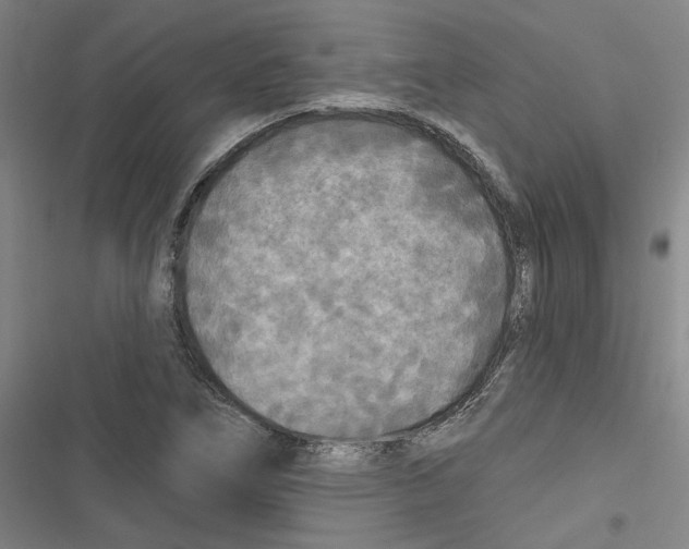 X0000116791266201001151054