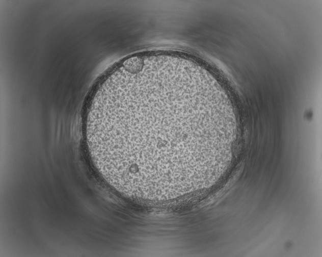 X0000116791267201001151054