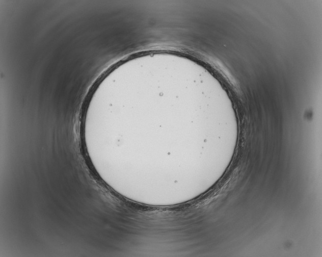 X0000116791268201001151054