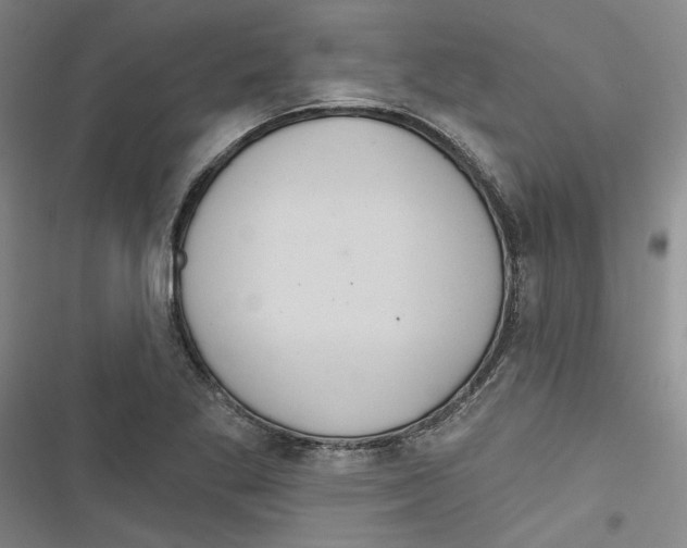 X0000116791269201001151054