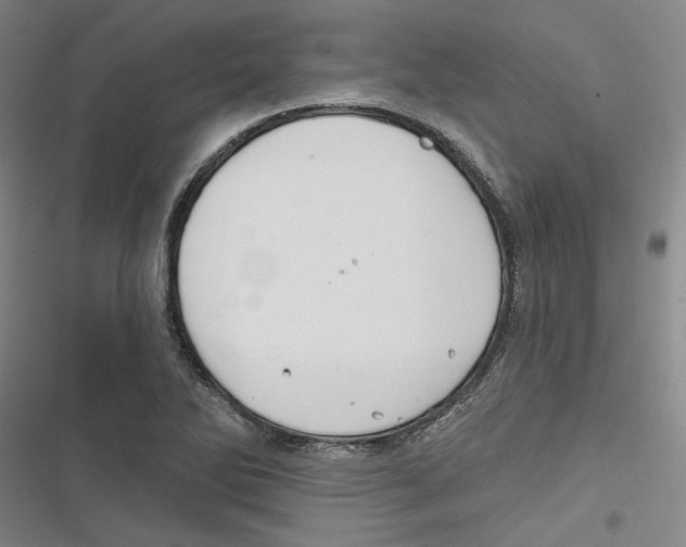 X0000116791270201001151054