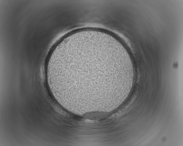 X0000116791271201001151054