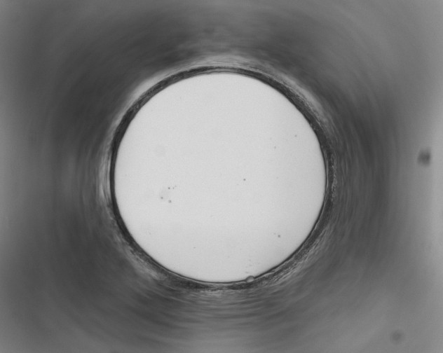 X0000116791272201001151054